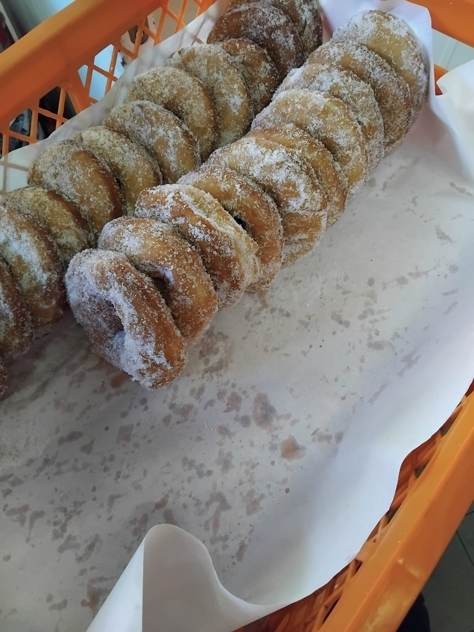 480696136_1302865204386636_2867140479632049105_n